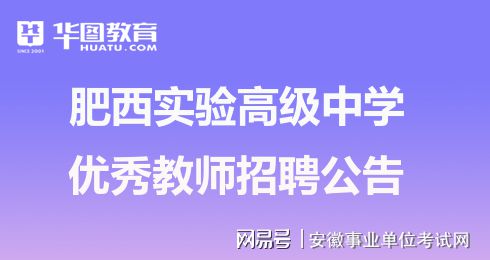 学科教师招聘要求，构建高素质教育团队的核心要素