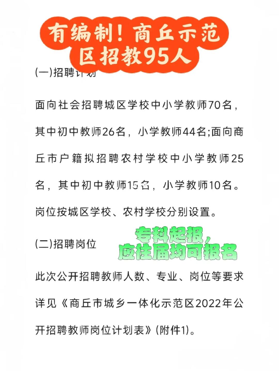 市公开招聘教师编制问题深度解析