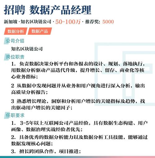 数据分析师岗位招聘简章详解PDF