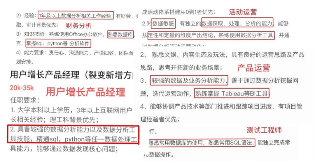 数据分析师招聘，挖掘数据潜力，助力企业蓬勃发展